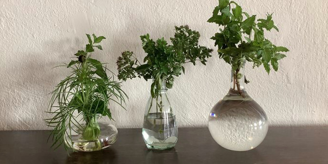 Tripp, trapp, trull… med trall