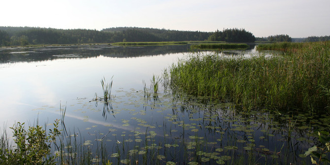 Utsikt över en sjö