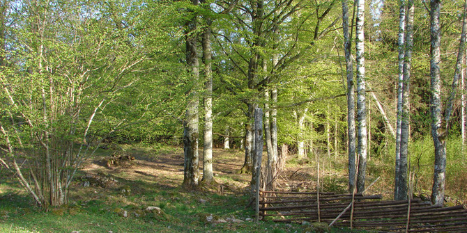 Lidahults naturreservat