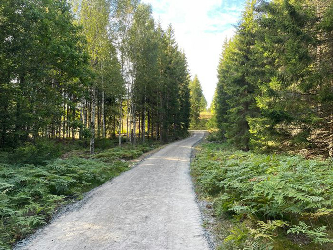 bild på gång väg i skog från Sträva området i Emmaboda