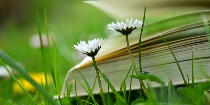 Skrivsommar - en blomma och en bok