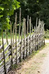 Gärdesgård.
